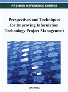 Perspectives and Techniques for Improving Information Technology Project Management