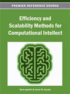Efficiency and Scalability Methods for Computational Intellect