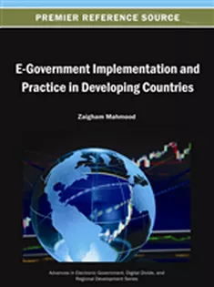 E-Government Implementation and Practice in Developing Countries