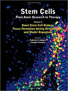 Stem Cells: From Basic Research to Therapy, Volume 1: Basic Stem Cell Biology, Tissue Formation During Development