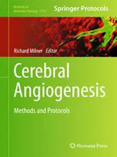 9781493903191 Cerebral Angiogenesis: Methods and Protocols