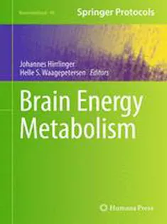 9781493910588 Brain Energy Metabolism