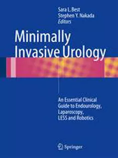 9781493913169 Minimally Invasive Urology