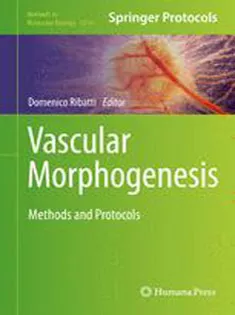 Vascular Morphogenesis: Methods and Protocols1