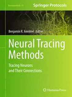 Neural Tracing Methods: Tracing Neurons and Their Connections
