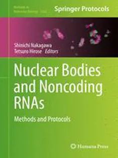 Nuclear Bodies and Noncoding RNAs: Methods and Protocols