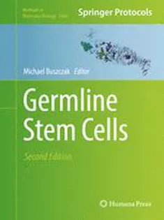Germline Stem Cells