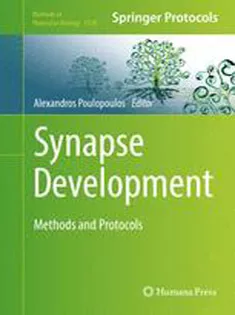 Synapse Development: Methods and Protocols
