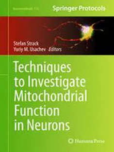 Techniques to Investigate Mitochondrial Function in Neurons