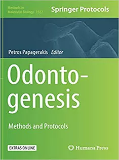 Odontogenesis: Methods and Protocols