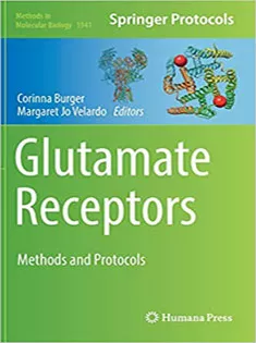 Glutamate Receptors: Methods and Protocols