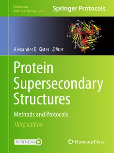 Protein Supersecondary Structures:Methods and Protocols