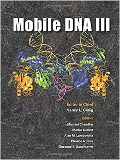 Mobile DNA III