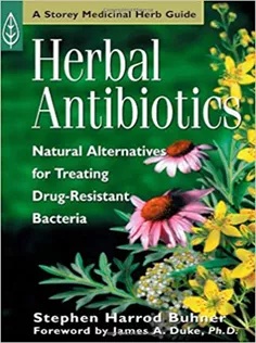 Herbal Antibiotics