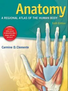 Anatomy A Regional Atlas of the Human Body