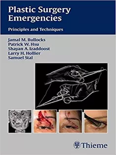 Plastic Surgery Emergencies Principles And Techniques