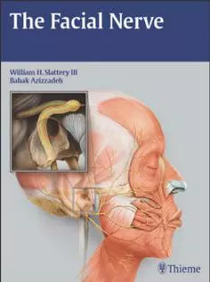 Facial Nerve