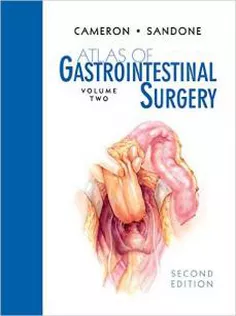 Atlas of Gastrointestinal Surgery ,Vol 2