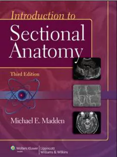 Introduction to Sectional Anatomy