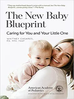 The New Baby Blueprint: Caring for You and Your Little One