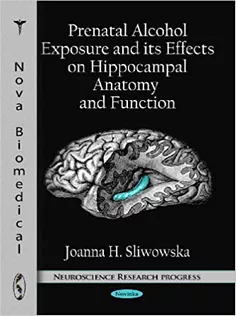 Prenatal Alcohol Exposure and Its Effects on Hippocampal Anatomy and Function