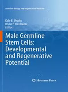 Male Germline Stem Cells: Developmental & Regenerative Potential