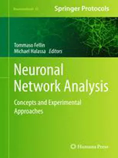 Neuronal Network Analysis: Concepts and Experimental Approaches