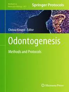 Odontogenesis: Methods and Protocols
