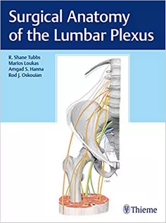 Surgical Anatomy of the Lumbar Plexus