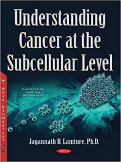 Understanding Cancer at the Subcellular Level
