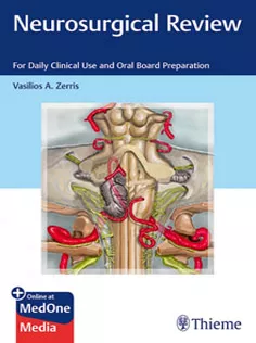 Neurosurgical Review: For Daily Clinical Use and Oral Board Preparation