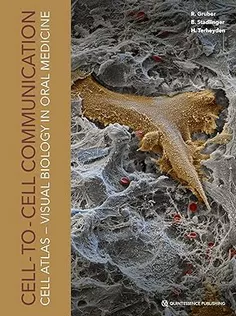 Cell-To-Cell Communication Cell-Atlas