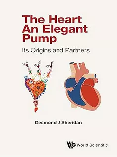 Heart, The – An Elegant Pump: Its Origins And Partners