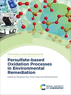 Persulfate-based Oxidation Processes in Environmental Remediation