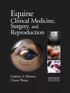 Equine Textbook for General Practitioners