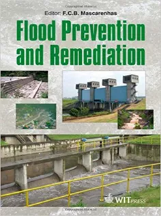 Flood Prevention and Remediation