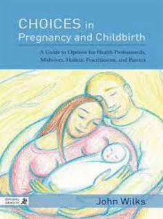 9781848192195 Choices in Pregnancy and Childbirth:A Guide to Options for Health Professionals,Midwives,Holistic Practitioners,and Par