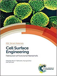 Cell Surface Engineering: Fabrication of Functional Nanoshells