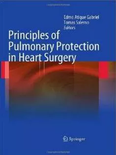 Principles Of Pulmonary Protection In Heart Surgery