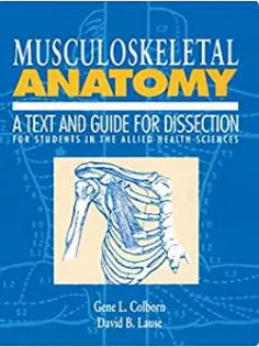 Musculoskeletal Anatomy