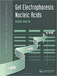 Gel Electrophoresis: Nucleic Acids