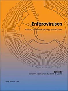 Enteroviruses: Omics, Molecular Biology, and Control