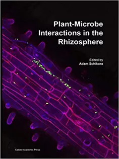 Plant-Microbe Interactions in the Rhizosphere