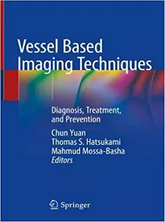 Vessel Based Imaging Techniques: Diagnosis, Treatment, and Prevention