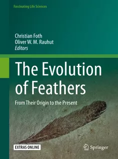 9783030272234 The Evolution of Feathers
