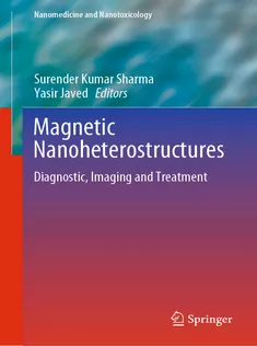 Magnetic Nanoheterostructures