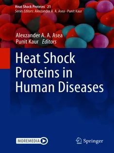 9783030622893 Heat Shock Proteins in Human Diseases