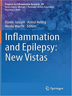 Inflammation and Epilepsy: New Vistas