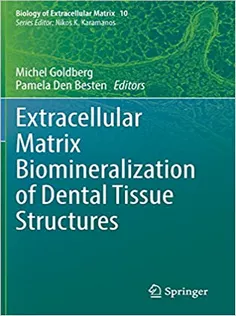 Extracellular Matrix Biomineralization of Dental Tissue Structures