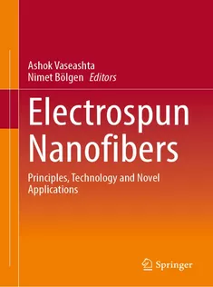 9783030999582 Electrospun Nanofibers